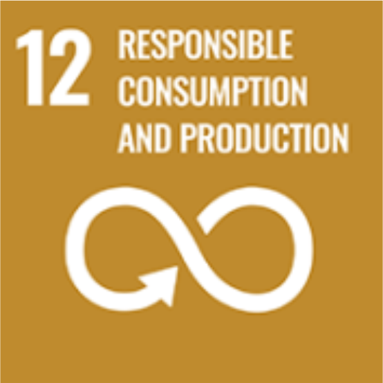 Responsible Consumption and Production